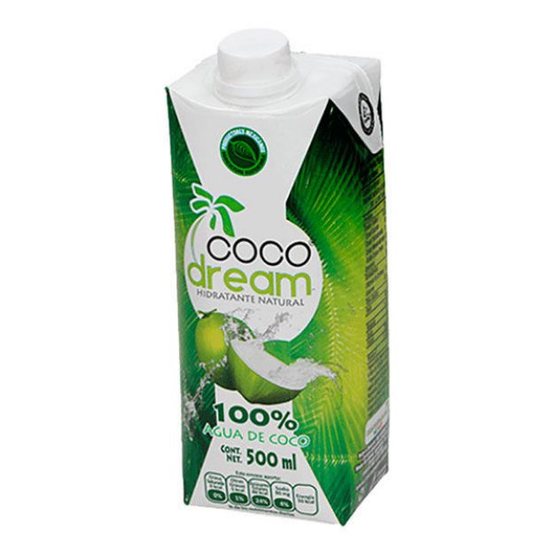 Agua-de-coco-15500ml-dream_510