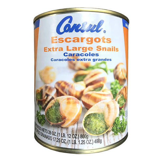 Escargots Extra Large Consul