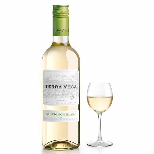 Imagen de Vino Blanco Terra Clasico Vega Sauvignon Blanc 750 ML